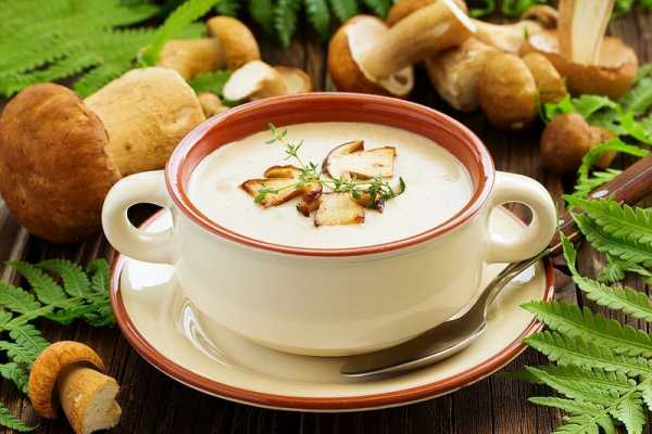 Крем суп с грибами белыми